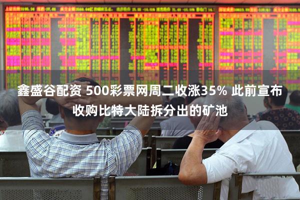 鑫盛谷配资 500彩票网周二收涨35% 此前宣布收购比特大陆拆分出的矿池