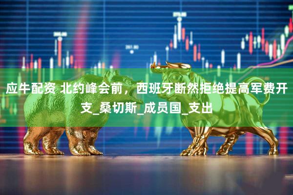 应牛配资 北约峰会前，西班牙断然拒绝提高军费开支_桑切斯_成员国_支出