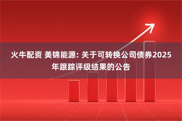 火牛配资 美锦能源: 关于可转换公司债券2025年跟踪评级结果的公告