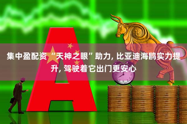 集中盈配资 “天神之眼”助力, 比亚迪海鸥实力提升, 驾驶着它出门更安心