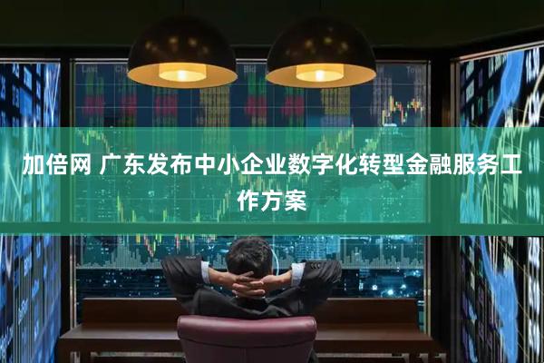 加倍网 广东发布中小企业数字化转型金融服务工作方案