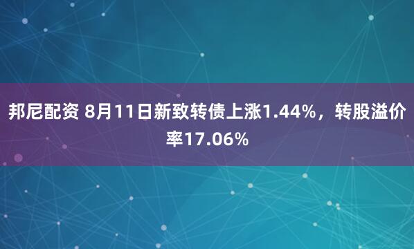 邦尼配资 8月11日新致转债上涨1.44%，转股溢价率17.06%