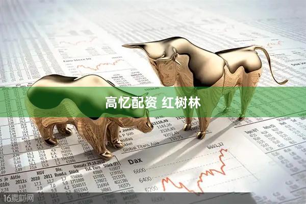 高忆配资 红树林