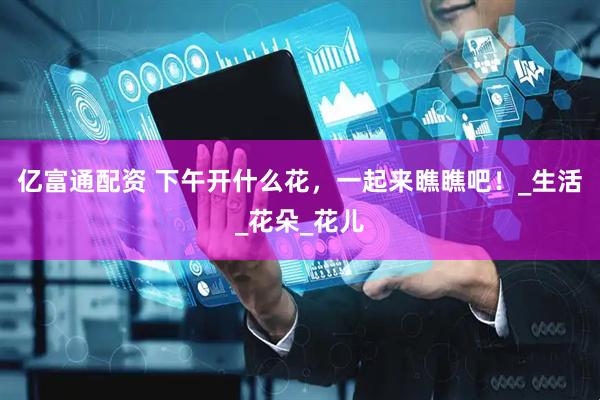 亿富通配资 下午开什么花,一起来瞧瞧吧!_生活_花朵_花儿